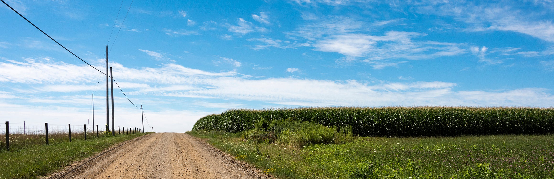 Power lines along a dirt road