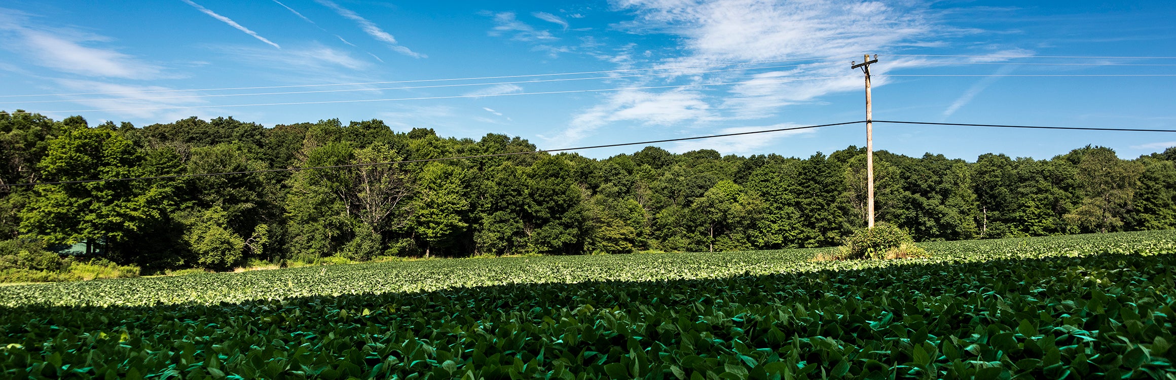 Northwestern Rural Electric Cooperative