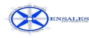 Ensales logo